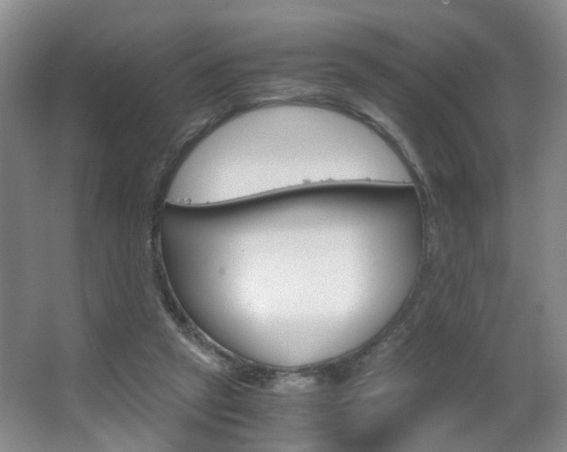 X0000063520257200601201133