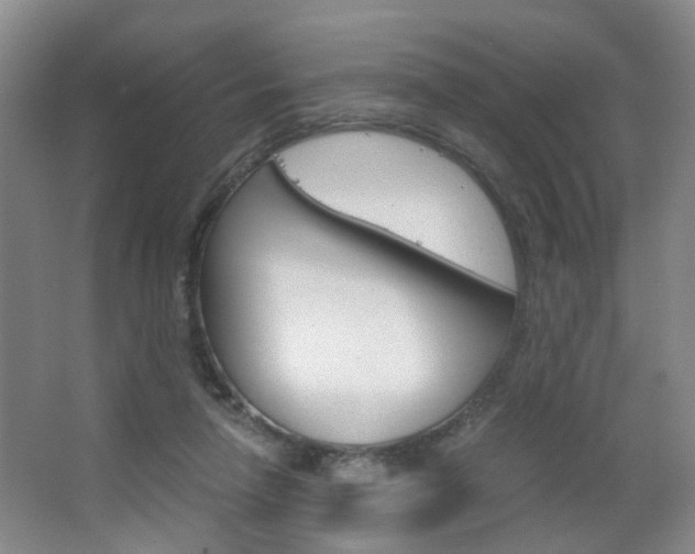 X0000063520258200601201133