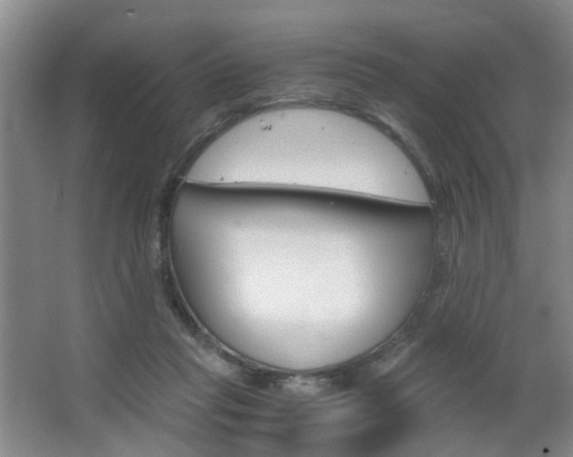 X0000063520261200601201133