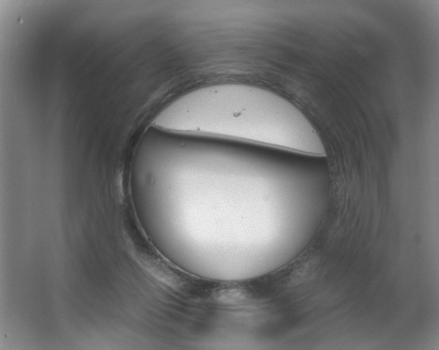 X0000063520262200601201133