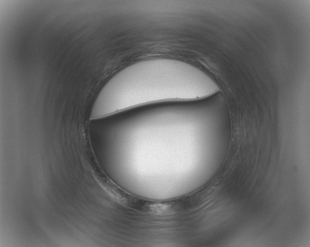 X0000063520265200601201133