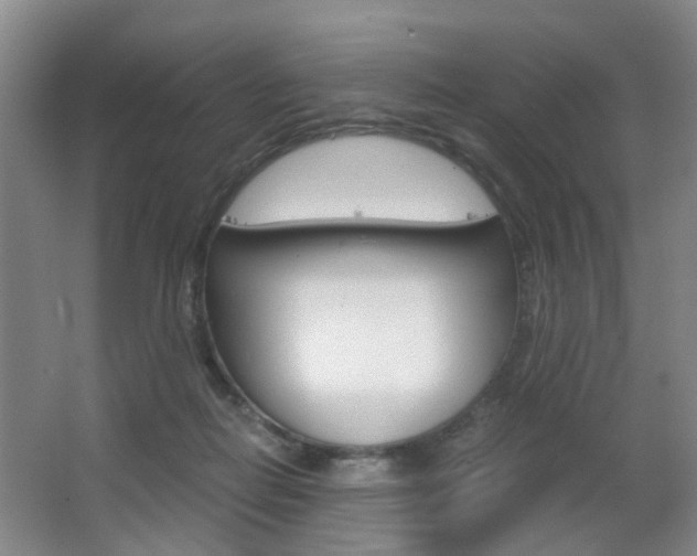 X0000063520266200601201133