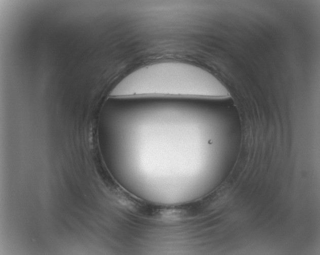 X0000063520268200601201133