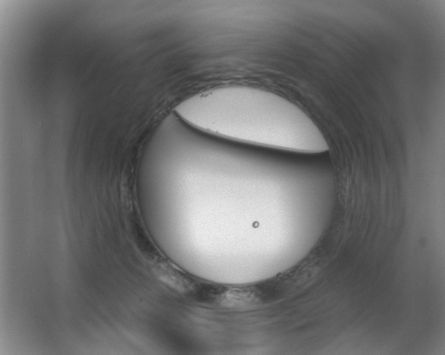 X0000063520270200601201133