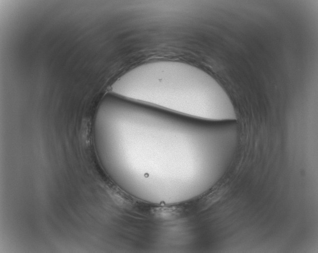 X0000063520273200601201133