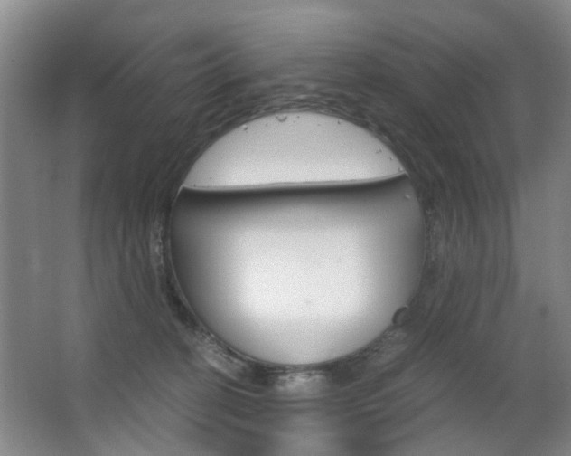 X0000063520274200601201133