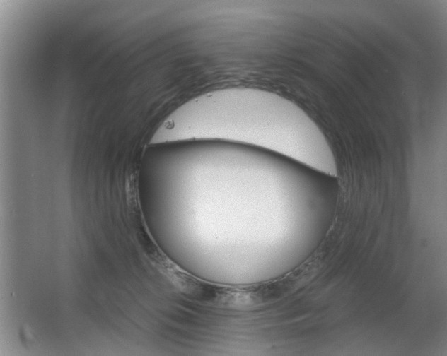 X0000063520276200601201133