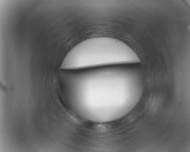 X0000063520277200601201133