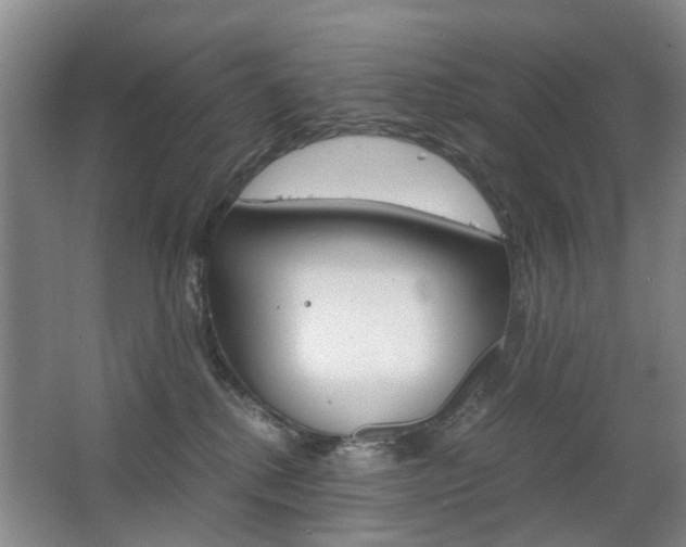 X0000063520280200601201133