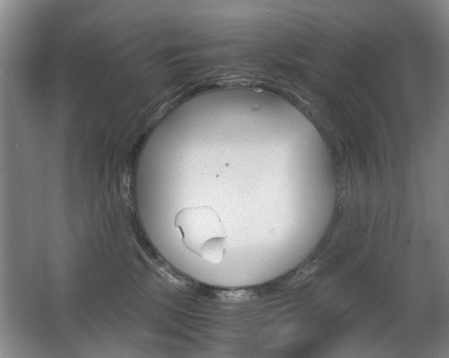 X0000063520281200601201133