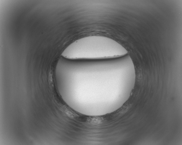 X0000063520282200601201133