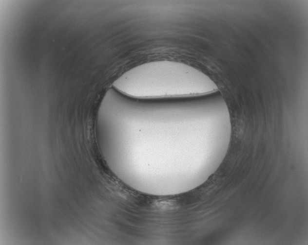 X0000063520283200601201133