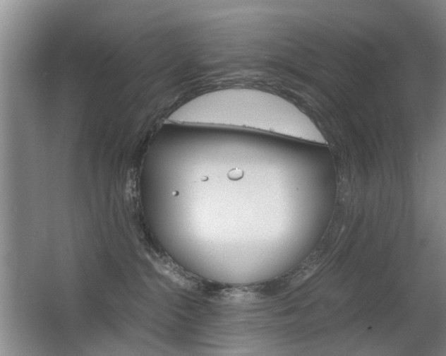 X0000063520284200601201133