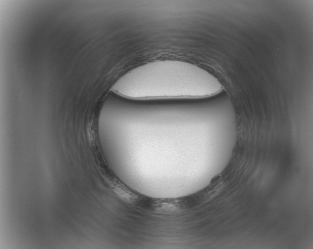 X0000063520285200601201133