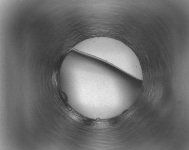 X0000063520286200601201133