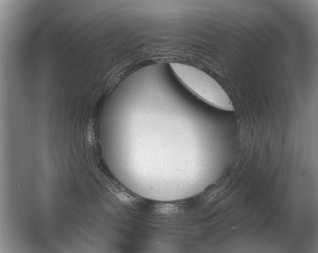 X0000063520287200601201133