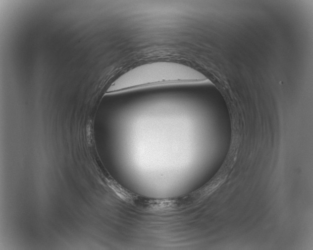 X0000063520288200601201133