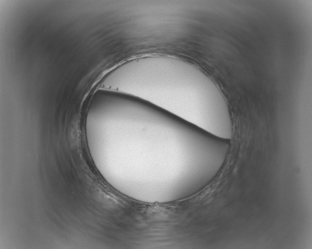 X0000063520290200601201132