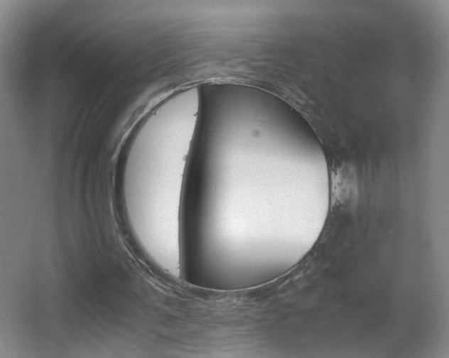 X0000063520291200601201132