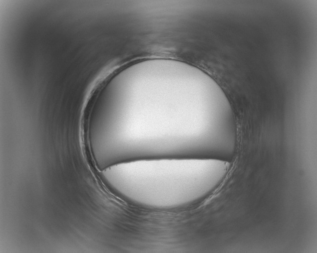 X0000063520294200601201132