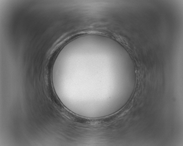 X0000063520295200601201132