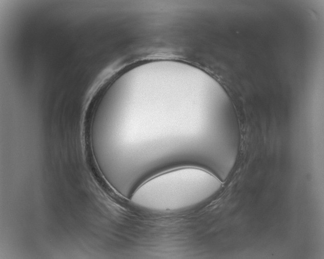 X0000063520296200601201132