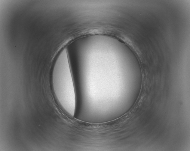 X0000063520297200601201132