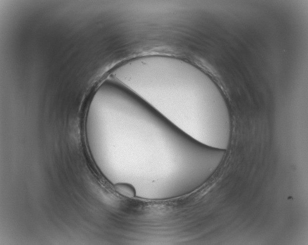 X0000063520298200601201132