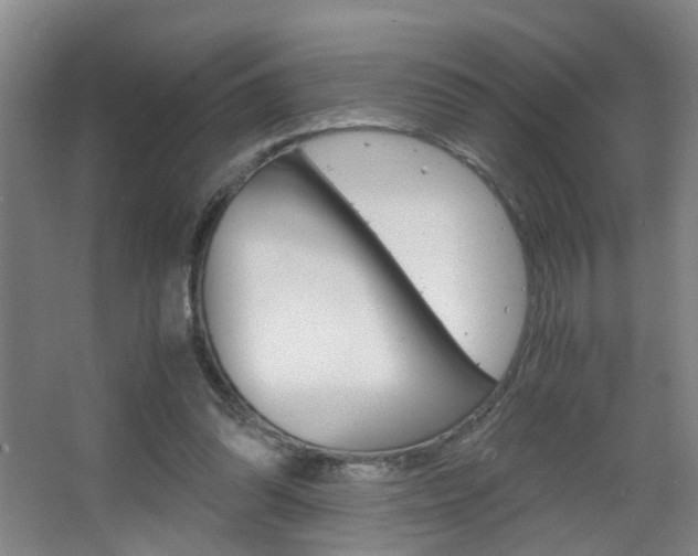 X0000063520302200601201132