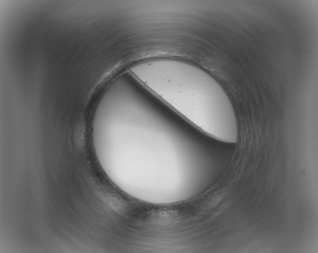 X0000063520304200601201132