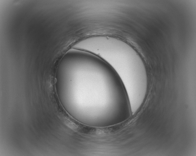 X0000063520305200601201132