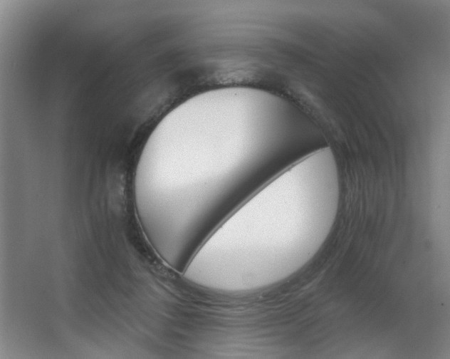 X0000063520308200601201132