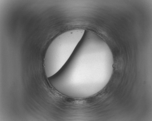 X0000063520314200601201132