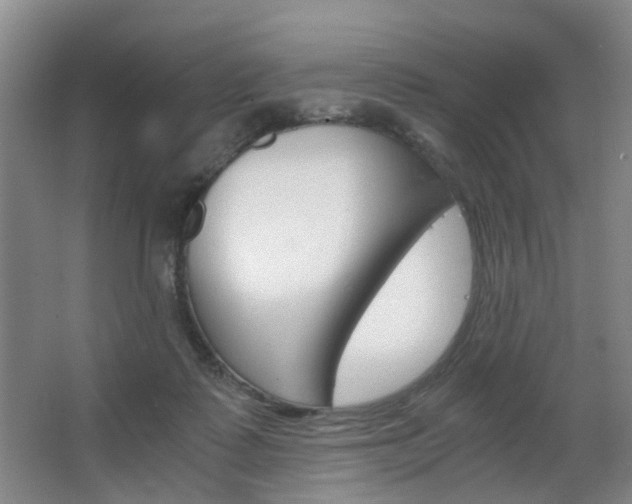 X0000063520315200601201132