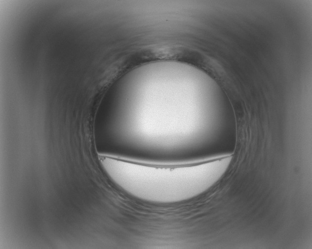 X0000063520317200601201132