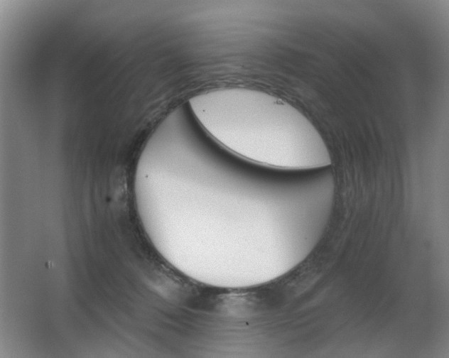 X0000063520320200601201132