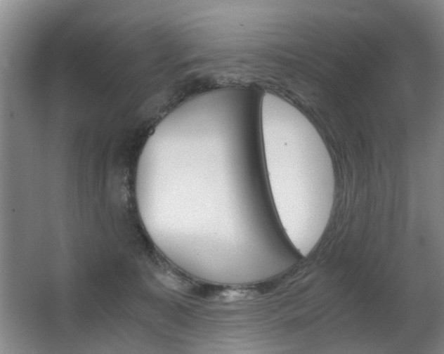 X0000063520323200601201132