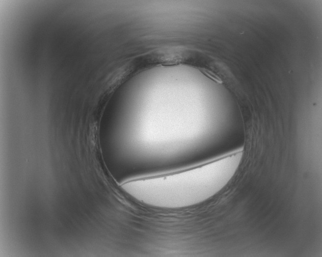 X0000063520325200601201132