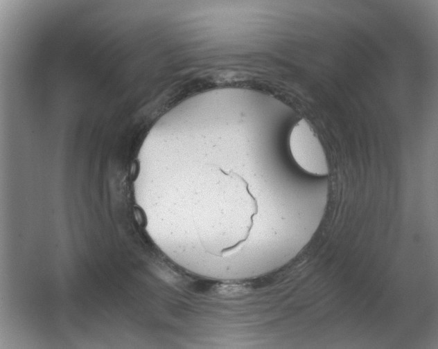 X0000063520327200601201132