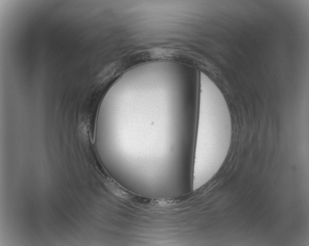 X0000063520329200601201132