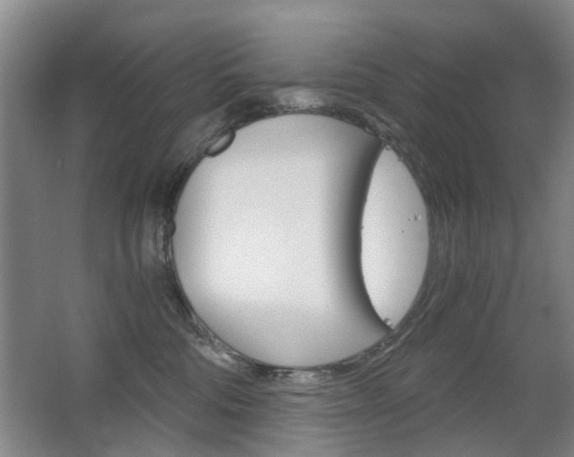 X0000063520330200601201132