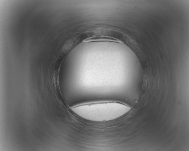 X0000063520333200601201132