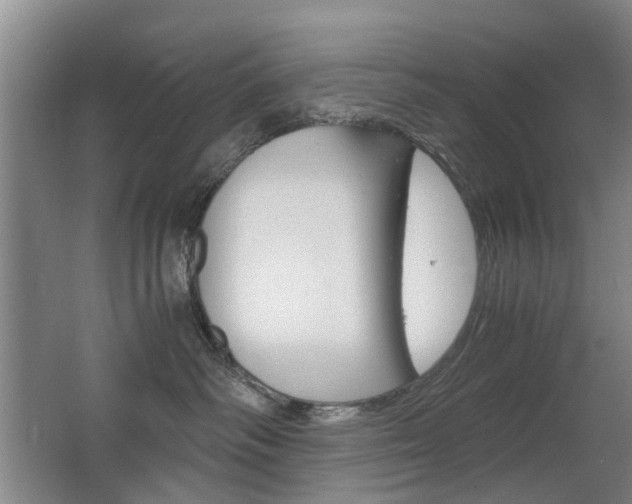 X0000063520334200601201132