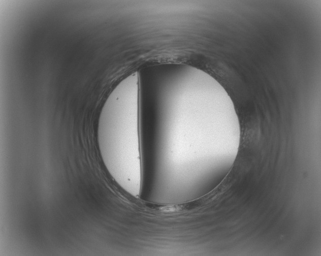 X0000063520335200601201132