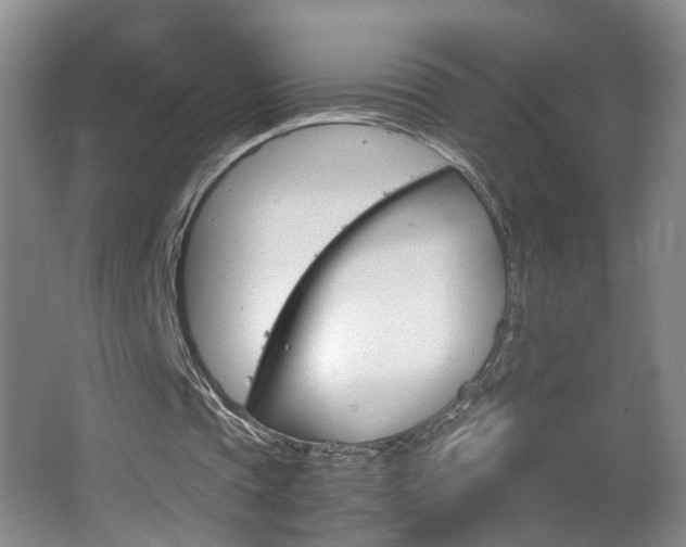 X0000063520337200601201131