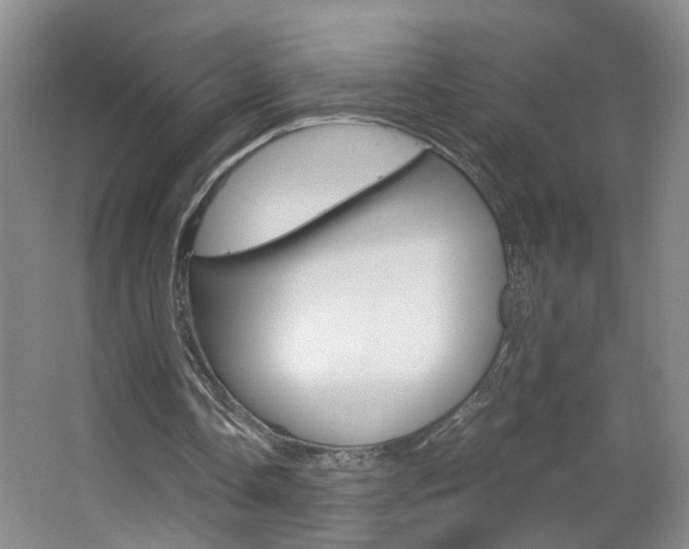 X0000063520338200601201131