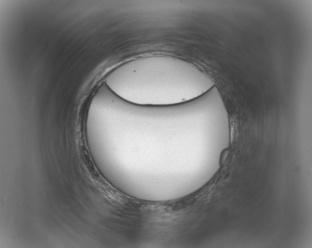 X0000063520339200601201131