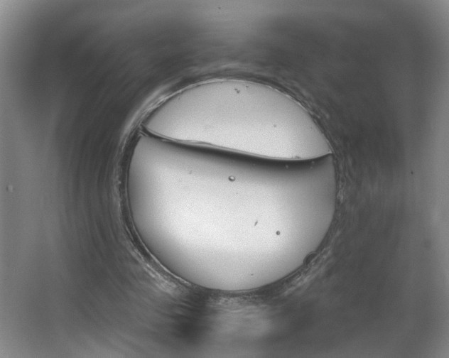 X0000063520341200601201131