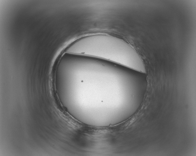 X0000063520342200601201131