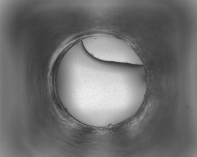 X0000063520343200601201131